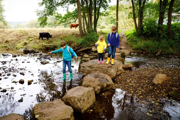 Troje małych dzieci wędrujących po lesie. Dwóch chłopców i dziewczynka przechodząca przez strumień. Szczęśliwe zdrowe dzieci bawiące się w przyrodzie, spędzające rodzinne wakacje, na świeżym powietrzu w jesienny lub letni dzień — Zdjęcie stockowe