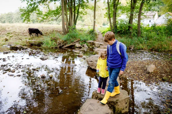 Dwójka małych dzieci wędrujących po lesie. Chłopiec i dziewczynka mijają strumień. Szczęśliwe zdrowe dzieci bawiące się w przyrodzie, spędzające rodzinne wakacje, na świeżym powietrzu w jesienny lub letni dzień — Zdjęcie stockowe