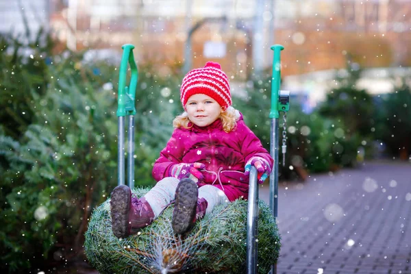 Adorable little toddler girl with Christmas tree on shopping cart or trolley on market. Happy healthy baby child in winter fashion clothes choosing and buying big Xmas tree in outdoor shop. — Stock Photo, Image