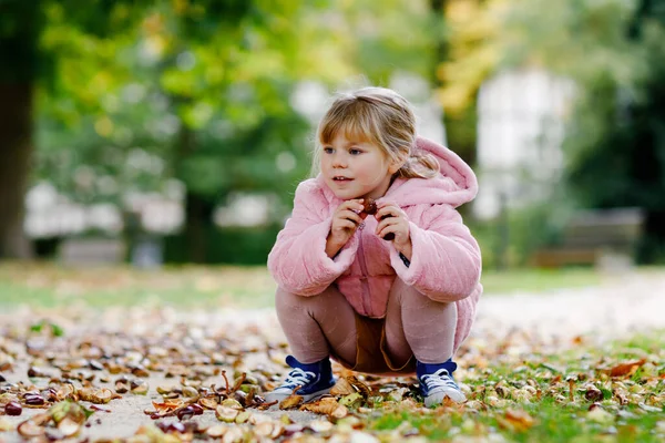 Adorabile ragazza bambino carino raccogliendo castagne in un parco il giorno d'autunno. Bambino felice divertirsi con la ricerca di castagno e fogliame. Attività autunnali con bambini. — Foto Stock