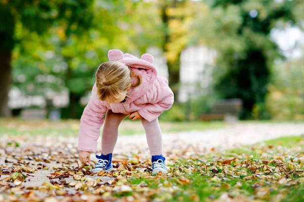 Adorable cute toddler girl picking chestnuts in a park on autumn day. Happy child having fun with searching chestnut and foliage. Autumnal activities with children. — Stock Photo, Image
