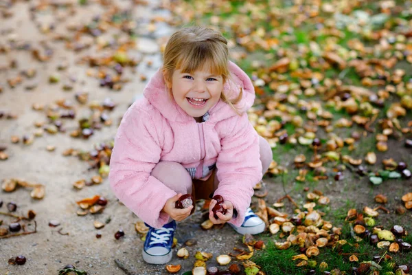 Αξιολάτρευτο χαριτωμένο κοριτσάκι που μαζεύει κάστανα σε ένα πάρκο την ημέρα του φθινοπώρου. Ευτυχισμένο παιδί που διασκεδάζει με την αναζήτηση κάστανο και φύλλωμα. Φθινοπωρινές δραστηριότητες με παιδιά. — Φωτογραφία Αρχείου