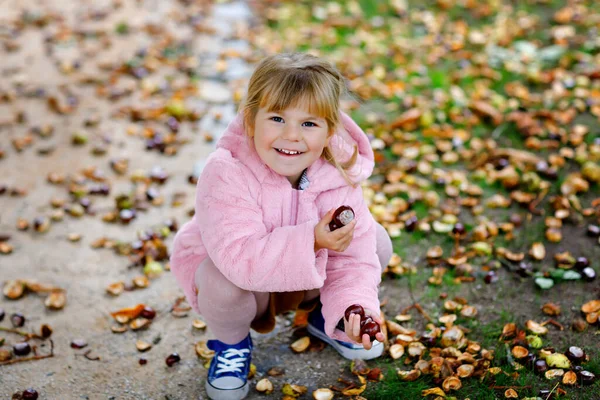 Søt småbarnsjente som plukker kastanjer i en park på høstdagen. Lykkelig barn som har det gøy med å visitere kastanje og bladverk. Høstlige aktiviteter med barn. – stockfoto