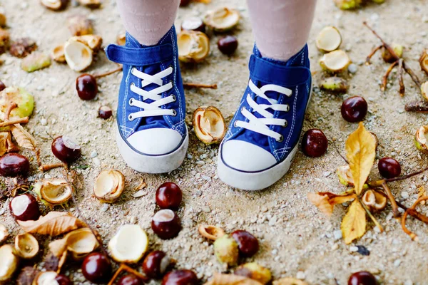 Fechar-se de pés e sapatos da menina de criança que escolhe castanhas em um parque no dia de outono. Criança se divertindo com a busca castanha e folhagem. Atividades outonais com crianças. — Fotografia de Stock