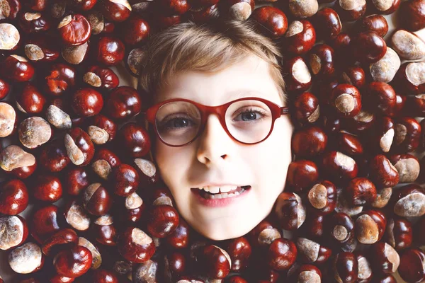Retrato engraçado de pré-adolescente ou menino da escola com óculos com muitas castanhas. Sorrindo criança feliz se divertindo no dia de outono com um projeto da escola. — Fotografia de Stock