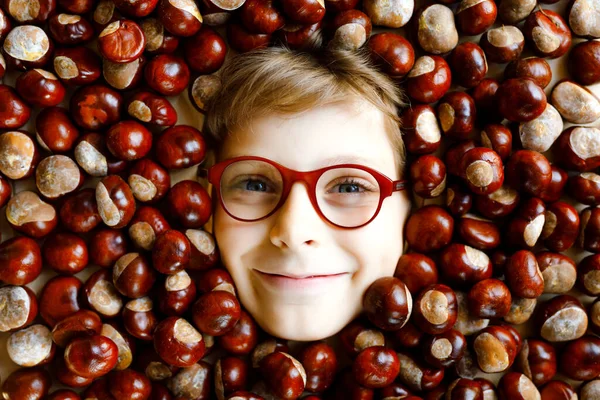 Zabawny portret nastolatka lub chłopca w okularach z mnóstwem kasztanów. Uśmiechnięte szczęśliwe dziecko bawiące się jesiennym dniem z projektem szkolnym. — Zdjęcie stockowe
