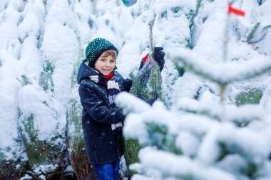 Gülen çocuk elinde Noel ağacı tutuyor. Kışın giyinmiş mutlu çocuk, karlı kış gününde kostüm dükkanında Noel ağacı seçiyor ve satın alıyor. Aile, gelenek, kutlama.