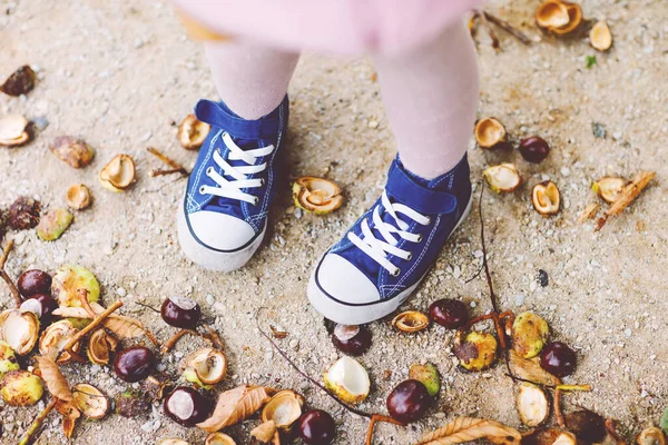 Fechar-se de pés e sapatos da menina de criança que escolhe castanhas em um parque no dia de outono. Criança se divertindo com a busca castanha e folhagem. Atividades outonais com crianças. — Fotografia de Stock