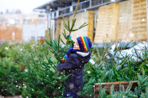 Adorable niño sonriente sosteniendo el árbol de Navidad en el mercado. Feliz niño sano en ropa de moda de invierno elegir y comprar gran árbol de Navidad en la tienda al aire libre. Familia, tradición, celebración. —  Fotos de Stock