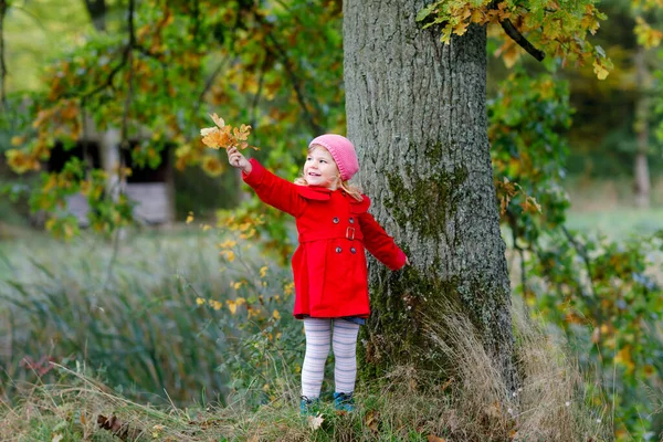 Linda niña pequeña en abrigo rojo haciendo un paseo a través del bosque de otoño. Feliz bebé sano disfrutando de caminar con los padres. Día de otoño soleado con el niño. Ocio activo y actividad con niños en la naturaleza. —  Fotos de Stock