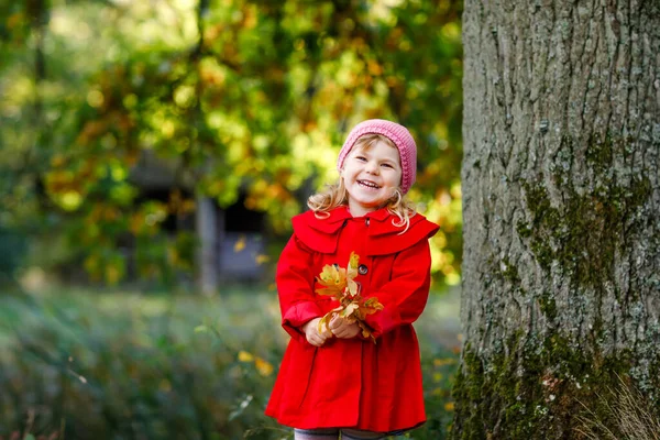 Sonbahar ormanlarında yürüyüş yapan kırmızı ceketli küçük bir kızın sonbahar portresi. Mutlu sağlıklı bebek anne babasıyla yürürken eğleniyor. Güneşli bir sonbahar günü elinde meşe yaprakları tutan çocukla — Stok fotoğraf