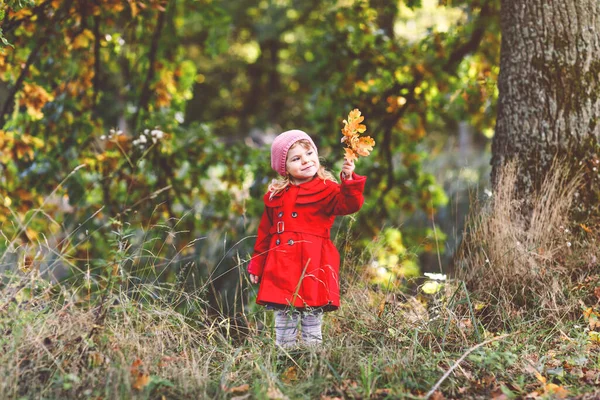 Portrait automnal de petite fille tout-petit en manteau rouge faisant une promenade à travers la forêt d'automne. Joyeux bébé en bonne santé qui aime marcher avec les parents. Journée ensoleillée d'automne avec un enfant tenant des feuilles de chêne dans les mains — Photo