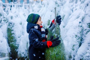 Gülen çocuk elinde Noel ağacı tutuyor. Kışın giyinmiş mutlu çocuk, karlı kış gününde kostüm dükkanında Noel ağacı seçiyor ve satın alıyor. Aile, gelenek, kutlama.