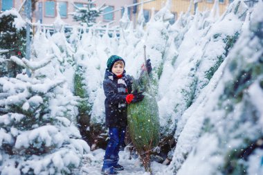 Gülen çocuk elinde Noel ağacı tutuyor. Kışın giyinmiş mutlu çocuk, karlı kış gününde kostüm dükkanında Noel ağacı seçiyor ve satın alıyor. Aile, gelenek, kutlama.