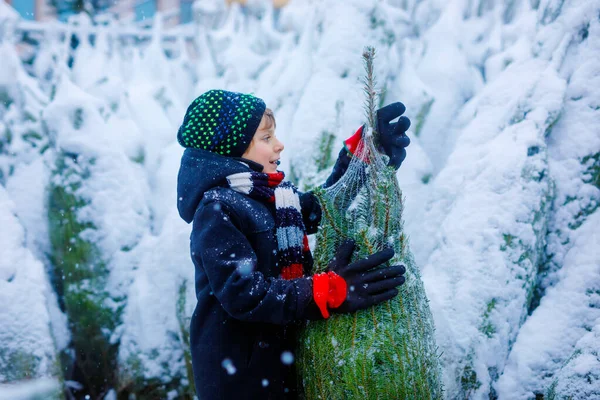 Funny little smiling kid boy holding christmas tree. Happy child in winter fashion clothes choosing and buying xmas tree in outdoor shop on snowy winter day. Family, tradition, celebration. — Stock Photo, Image