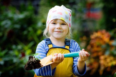 Elinde yeşil bitkiler filizlenen bahçe küreğini tutan sevimli küçük kız. Sevimli çocuk bahçeciliği, ekmeyi ve sebze yetiştirmeyi evcil bahçede öğreniyor. Ekoloji, organik gıda.