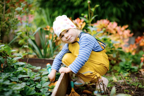 Menina da criança adorável que trabalha com pá no jardim doméstico. Criança bonito aprender jardinagem, plantio e cultivo de legumes no jardim doméstico. Miúdo com ferramentas de jardim. Ecologia, alimentos orgânicos. — Fotografia de Stock