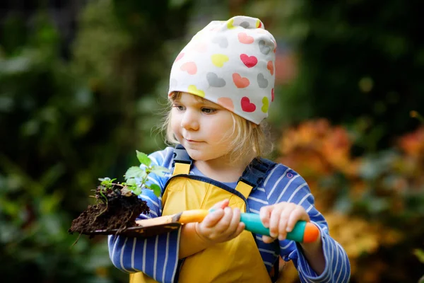 Adorável menina criança segurando pá de jardim com plantas verdes mudas nas mãos. Criança bonito aprender jardinagem, plantio e cultivo de legumes no jardim doméstico. Ecologia, alimentos orgânicos. — Fotografia de Stock