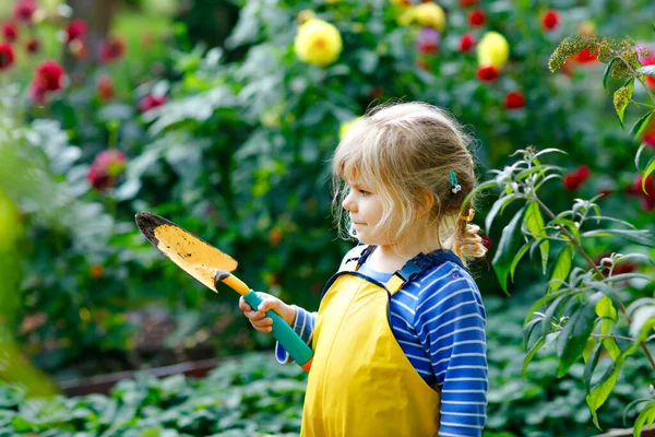 Adorable niña pequeña que trabaja con pala en el jardín doméstico. Lindo niño aprende jardinería, plantación y cultivo de verduras en el jardín doméstico. Niño con herramientas de jardín. Ecología, alimentación ecológica. —  Fotos de Stock