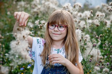 Gözlüklü mutlu ilkokul öğrencisinin portresi açık arazide oynuyor, doğada pofuduk tohumlar saçıyor. Gerçek hayattaki otantik çocukluk anı