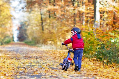 Sonbahar Ormanı Parkı 'nda renkli, sıcak giysiler içinde bisiklet süren küçük çocuk. Doğada güneşli bir sonbahar gününde bisiklet süren aktif bir çocuk. Güvenlik, spor, çocuk konseptiyle eğlence. Çocuklar için gündelik moda.