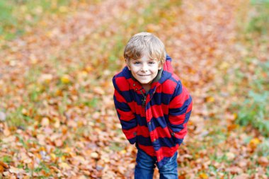 Sonbahar yaprakları arka planında renkli giysileri olan mutlu küçük çocuk portresi. Sonbahar ormanlarında eğlenen ya da soğuk bir günde park eden komik çocuk. Çocuk yürüyor.