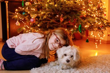 Güzel küçük kız Noel arifesinde Noel ağacının yanında en sevdiği Malta köpeğiyle oynuyor. Çocuklar ve hayvanlar konsepti. Kız evcil hayvanla ilgileniyor. Mutlu çocuk ve köpek. Sihir sezonu