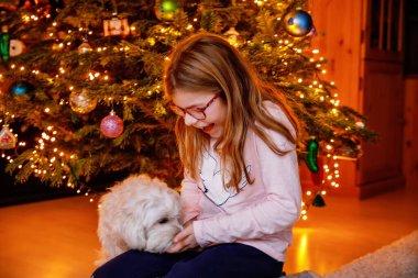 Güzel küçük kız Noel arifesinde Noel ağacının yanında en sevdiği Malta köpeğiyle oynuyor. Çocuklar ve hayvanlar konsepti. Kız evcil hayvanla ilgileniyor. Mutlu çocuk ve köpek. Sihir sezonu