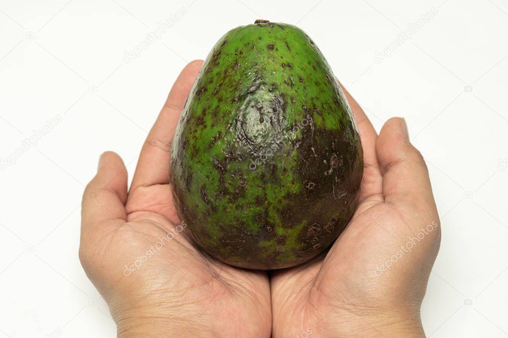 Avocado in the hands close up
