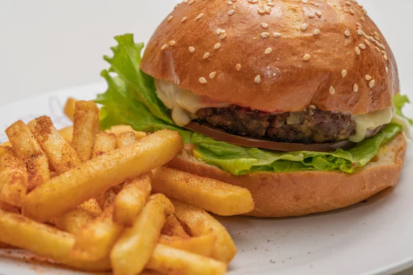 Hamburger Meat Tomato Lettuce French Fries — Stock Photo, Image