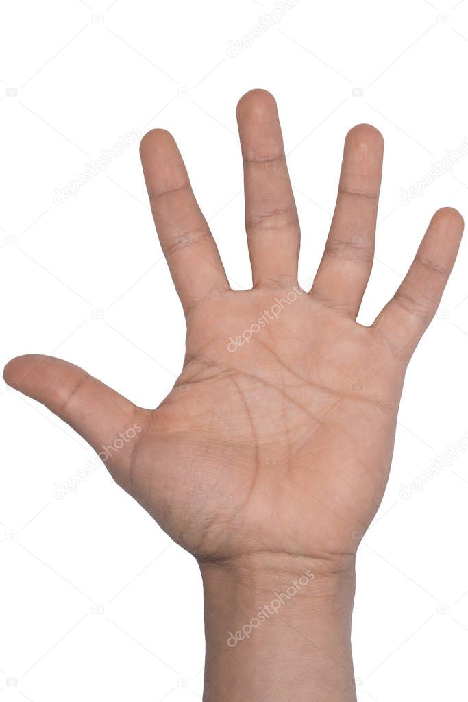 Hand with white background