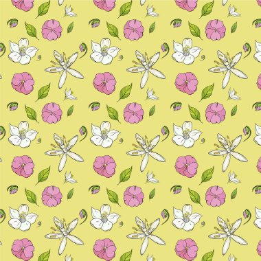 Dikişsiz desen beyaz ve pembe çiçekler