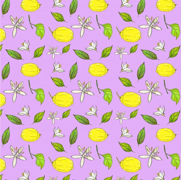 Pattern lemons and white flowers on purple background