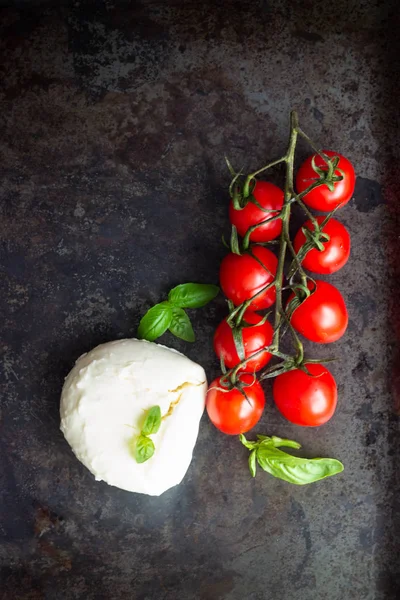 Taze fesleğen, mozzarella peyniri ve domates koyu arka plan üzerinde. İtalyan gıda veya maddeler arka plan. Caprese. Kopya alanı, üstten görünüm.