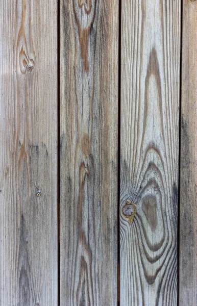 Old rich wood texture background with knots. Wood wall for design and text, texture for designer.