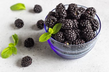 Bir mavi kase ve nane hafif kayrak, taş veya beton arka plan üzerinde taze böğürtlen. Metin için yer kopyalayın.