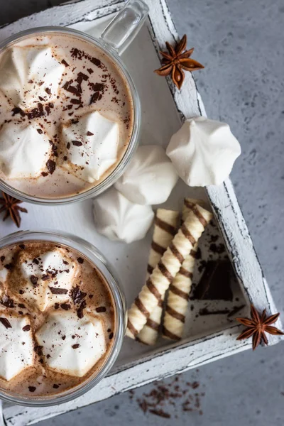 Warme Chocolade Cacao Drank Glas Mok Met Marshmallows Snoepjes Kaneelstokjes — Stockfoto