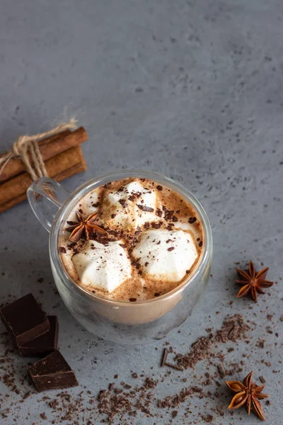 Hot chocolate cocoa drink in glass mug with marshmallows candies, cinnamon sticks, anise, chocolate and waffles. Copy space. Winter food and drink concept.