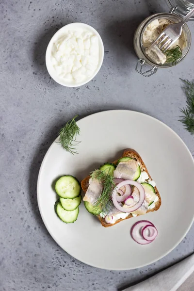 Herring, red onions, cucumbers and a slice of rye bread on a light grey plate. — Stock Image Herring Red Onions Cucumbers Slice Rye Bread Light Grey Plate Royalty Free Stock Photos