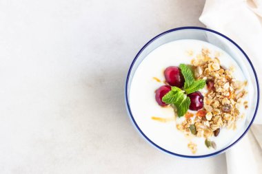 Sağlıklı kahvaltı kase yoğurt, taze kızılcık, bal ve nane ile ev yapımı granola ile. Vejetaryen yiyecekler kavramı. Üstten görünüm. Kopya alanı.