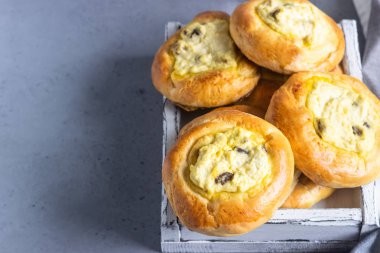 Süzme peynir ve kuru üzüm ile taze ev yapımı açık köftesi. Geleneksel Rus böreği vatrushka Maya, popo yuvarlak, tart Lor. Süzme peynir ve kuru üzüm ile buns. Rustik tarzı. Kopya alanı.