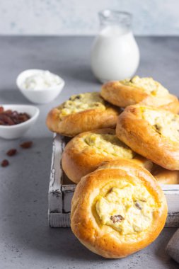 Süzme peynir ve kuru üzüm ile taze ev yapımı açık köftesi. Geleneksel Rus böreği vatrushka Maya, popo yuvarlak, tart Lor. Süzme peynir ve kuru üzüm ile buns. Rustik tarzı. Kopya alanı.