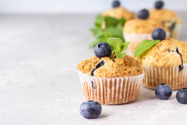 Blueberry Muffin Friss Bogyók Mentalevél Világosszürke Háttérben Lemezterület Másolása — Stock Fotó