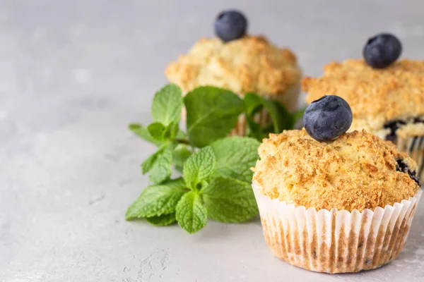 Blueberry Muffin Friss Bogyók Mentalevél Világosszürke Háttérben Lemezterület Másolása — Stock Fotó