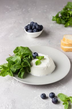 Taze yaban mersini ve açık gri arka plan üzerinde nane ile gri plaka üzerinde İtalyan ricotta peyniri. Seçici odaklama, kopyalama alanı. 