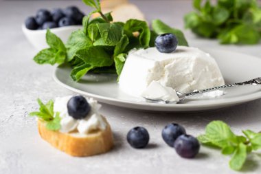Taze yaban mersini ve açık gri arka plan üzerinde nane ile gri plaka üzerinde İtalyan ricotta peyniri. Seçici odaklama, kopyalama alanı. 