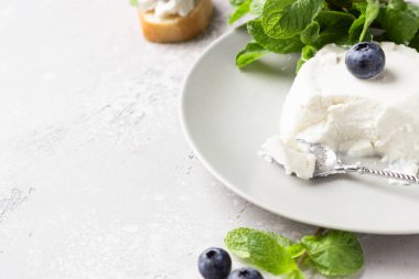 Taze yaban mersini ve açık gri arka plan üzerinde nane ile gri plaka üzerinde İtalyan ricotta peyniri. Seçici odaklama, kopyalama alanı. 