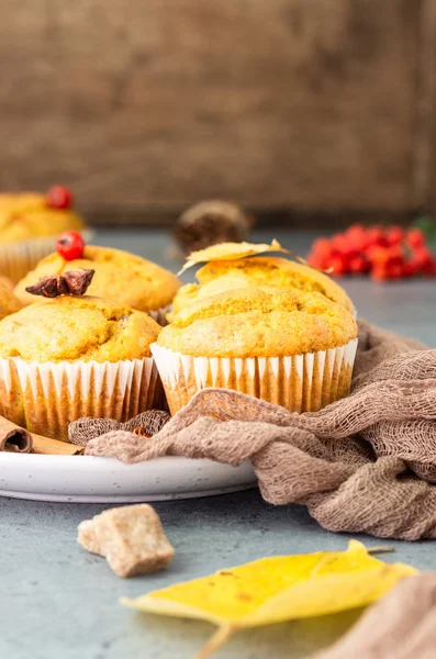 Sonbahar baharatları ile tatlı kabak veya havuç kekler. Sonbahar tatlısı. Sağlıklı pişirme konsepti. Kopyalama alanı.