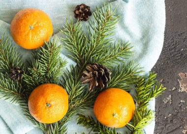 Clementines, köknar dalları, koniler ve nane kazak. Kış konfor konsepti. 