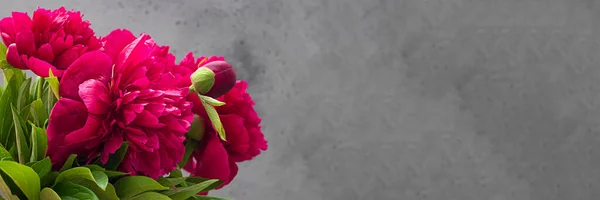 Peonías Magenta Sobre Fondo Piedra Gris Invitación Boda Fondo Del —  Fotos de Stock